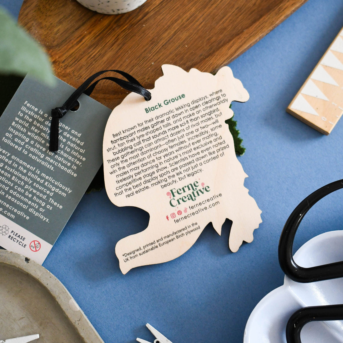 Wooden black grouse cutout decoration with wildlife facts on a blue surface with stationery items.