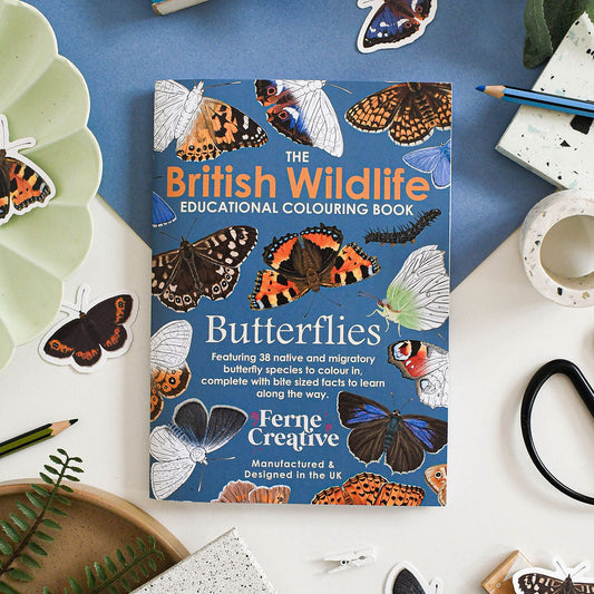 Educational colouring book titled 'The British Wildlife: Butterflies' on a table with butterfly stickers.