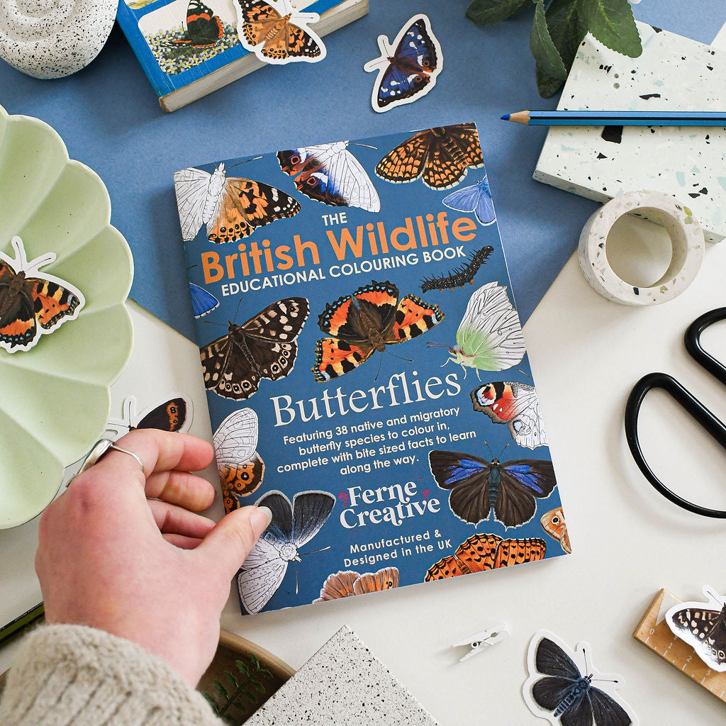 Educational coloring book titled 'The British Wildlife: Butterflies' on a table with butterfly stickers and stationery items.