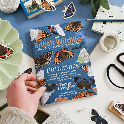 Educational coloring book titled 'The British Wildlife: Butterflies' on a table with butterfly stickers and stationery items.