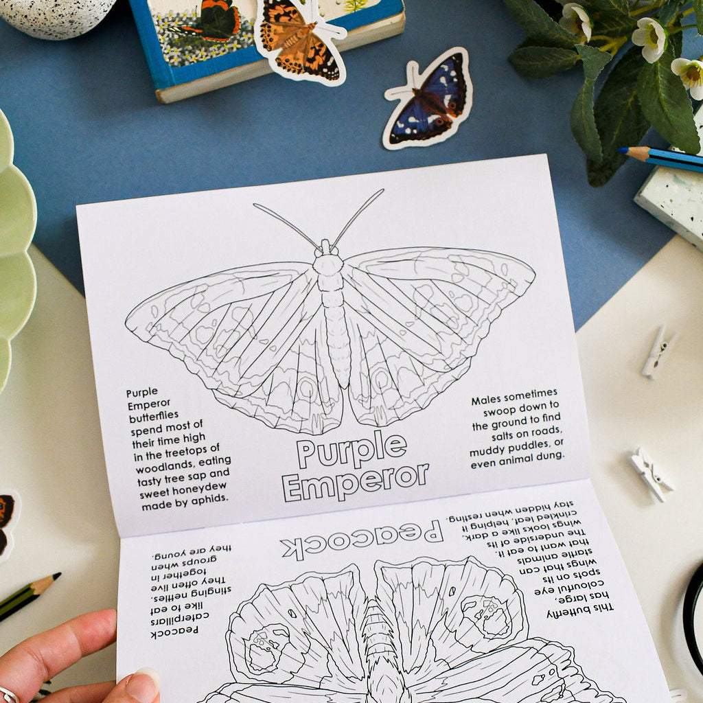 Butterfly coloring sheet with detailed illustration and text held by a hand on a table with decorative items.