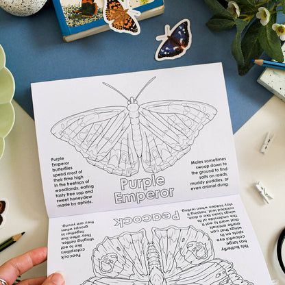 Butterfly coloring sheet with detailed illustration and text held by a hand on a table with decorative items.