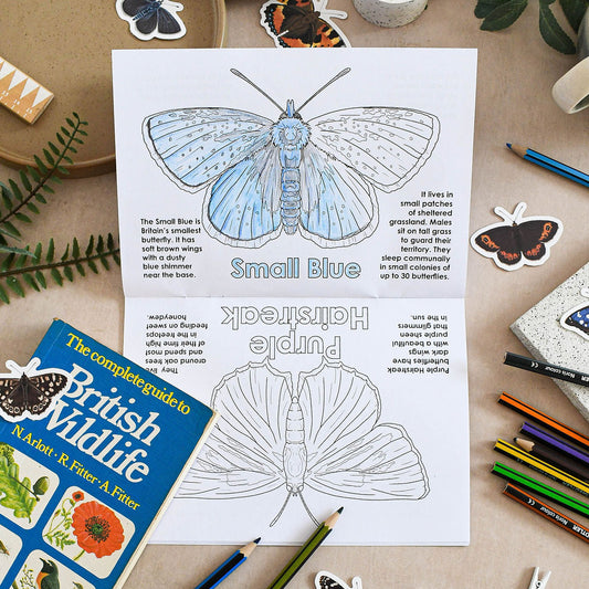 Coloring sheet of a butterfly with stationery items on a table