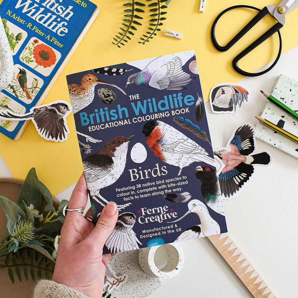Educational colouring book titled 'The British Wildlife Educational Colouring Book' on a yellow surface with stationery items.