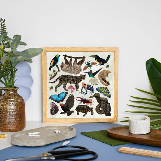 Amazon Wildlife Print