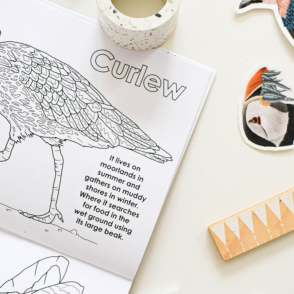 Coloring book page with a curlew illustration and text, surrounded by stationery items on a light surface.