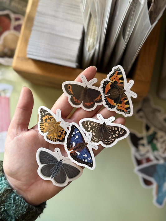 British Butterfly Vinyl Sticker Bundle