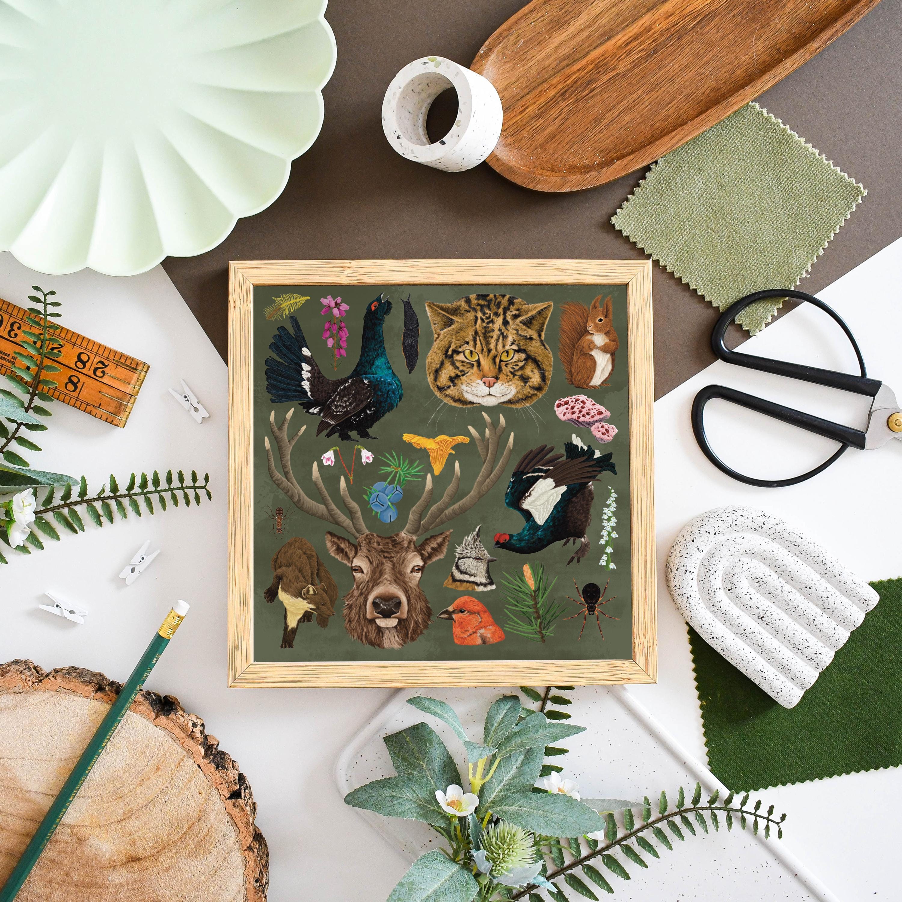 Caledonian Forest Wildlife Print | Scottish Wildlife Art | Nature Square Wall Decor | Unique Home Decor Gift