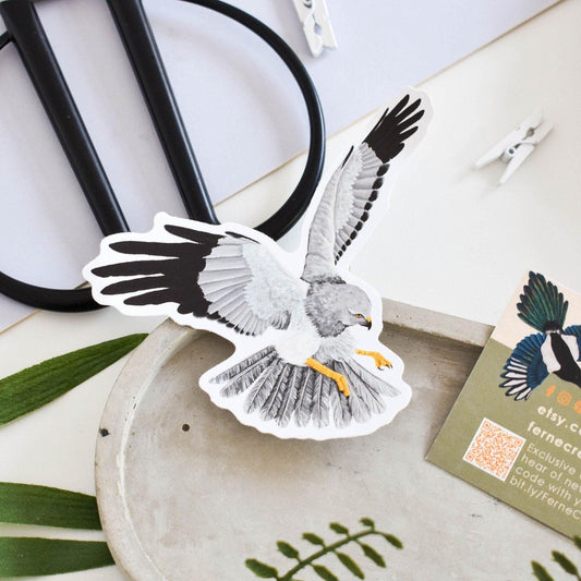 Hen Harrier vinyl sticker, Birds Of Prey, Raptor, Nature stickers, Bird Stickers, Gift For Bird Lover, Bird Watcher, Birding, Ornithology