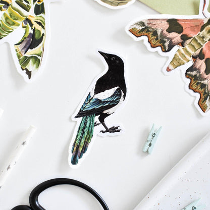 Magpie Vinyl Sticker, Cute Magpie Art, Waterproof Decal, Bird Lover Gift, Nature Decor, Aesthetic Wall Sticker Home & Office Decor