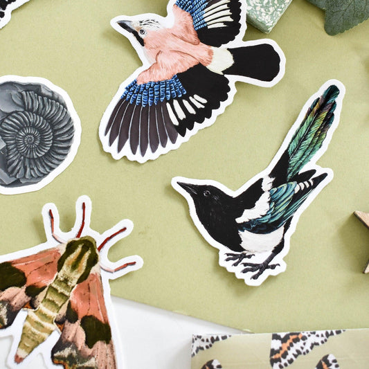 Tail-up Magpie Vinyl Sticker | Cute Bird Decal for Laptops, Water Bottles & Car Windows | Nature Lover Gift