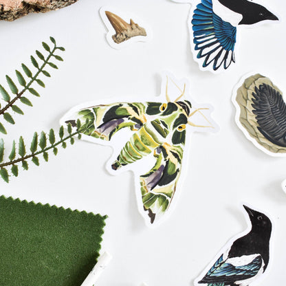 Moth vinyl sticker, Moths lover, Oddity, Butterfly Sticker, Witch Stickers, entomology gift, Halloween, Goth sticker, Animals And Insects