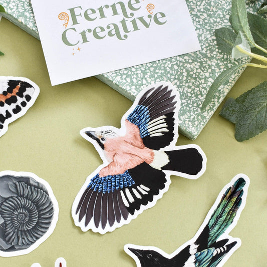 Jay Bird Vinyl Sticker, Laptop decal, Cute decal, Planner stickers, Bird lover gift, Bird watching, Corvid, Crow sticker, Raven decal, Pink