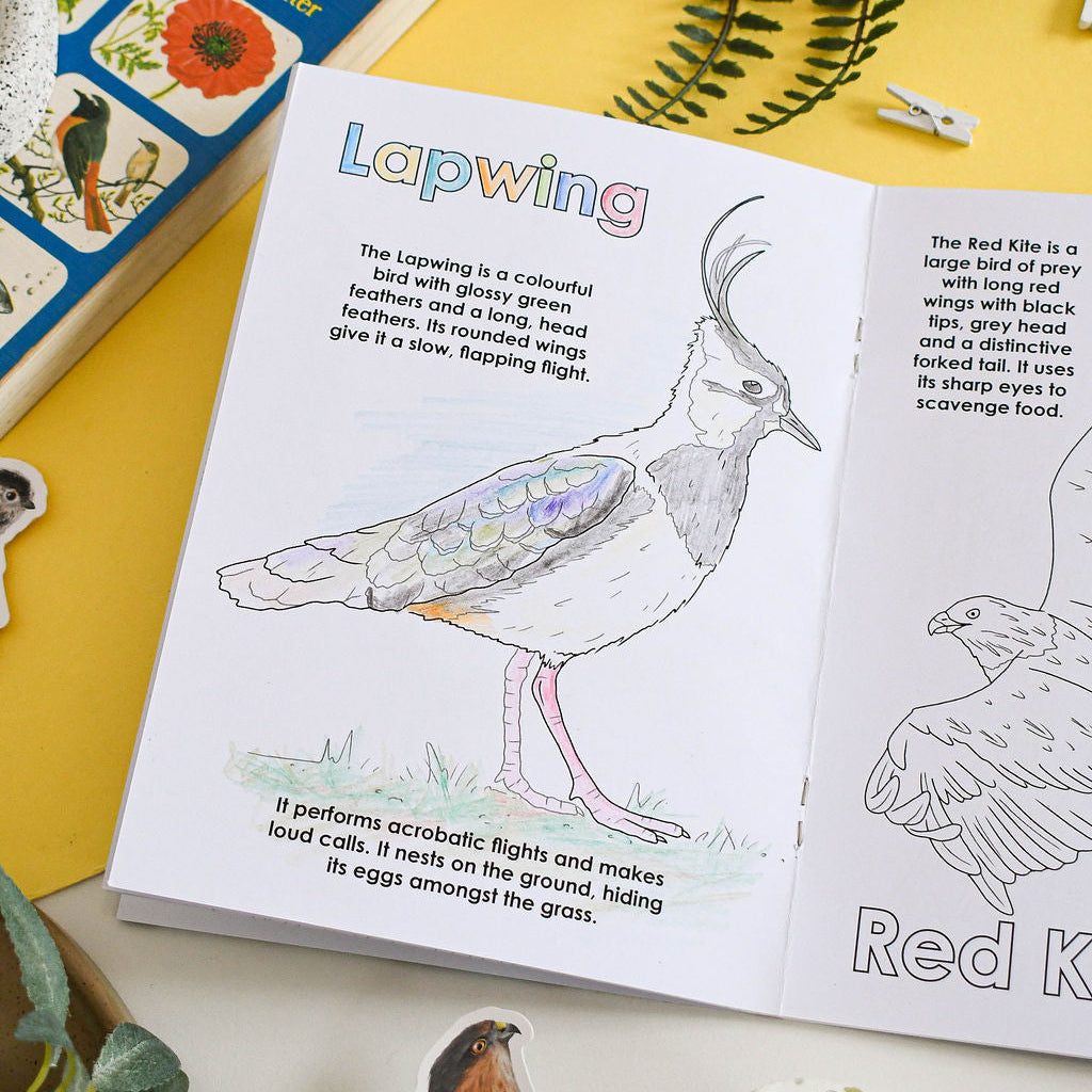Open book with illustrations of birds on a yellow surface