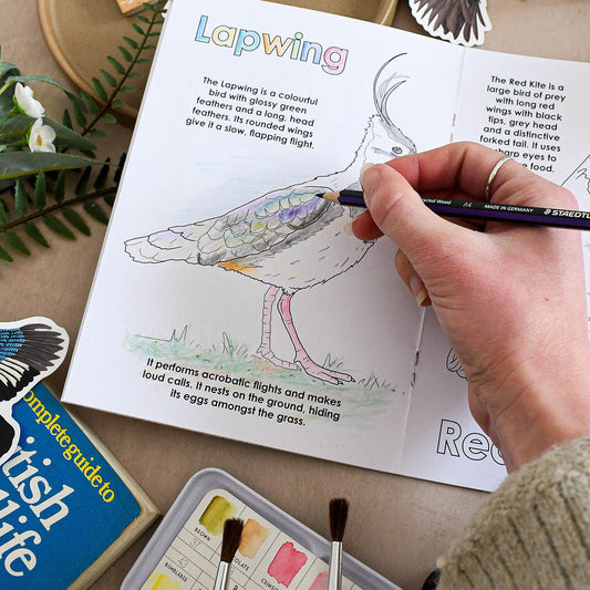 Person coloring a lapwing bird illustration in a book with art supplies around.