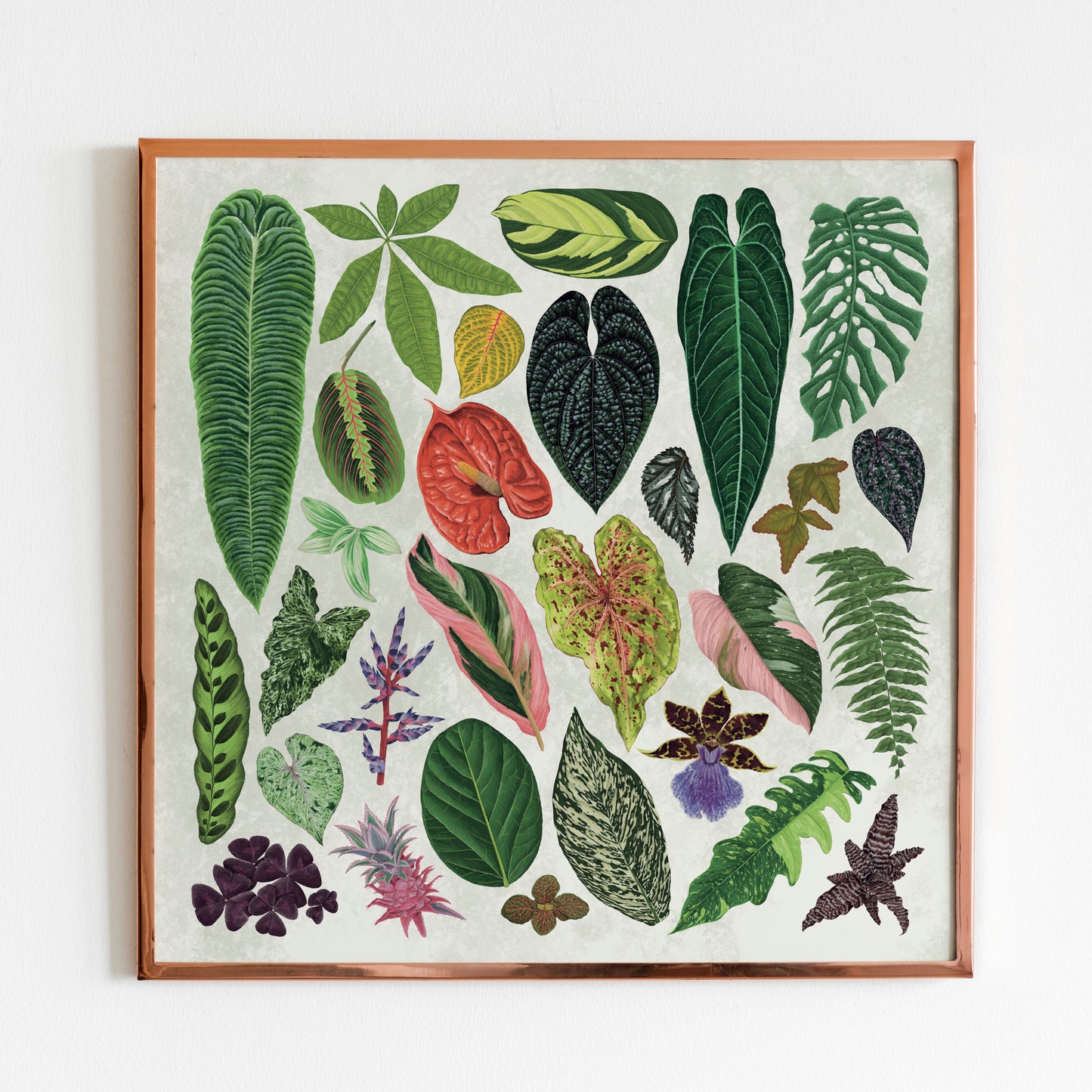 Tropical Houseplant Print
