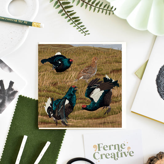 Black Grouse Lek Illustrated Greetings Card