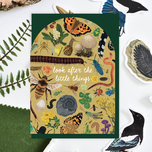 'Look After The Little Things' Arched Insect Card