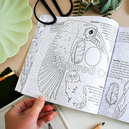 A long-eared owl colouring page surrounded by pencils and scissors 