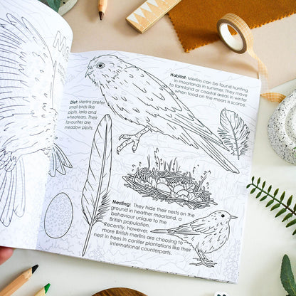 merlin colouring book spread surrounded by pencils and rulers
