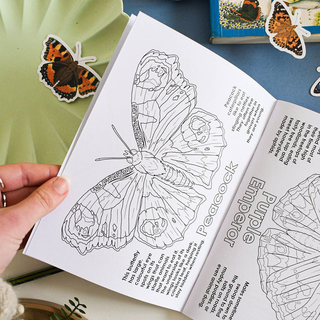 Coloring book with butterfly illustration on a table with nature-themed items.