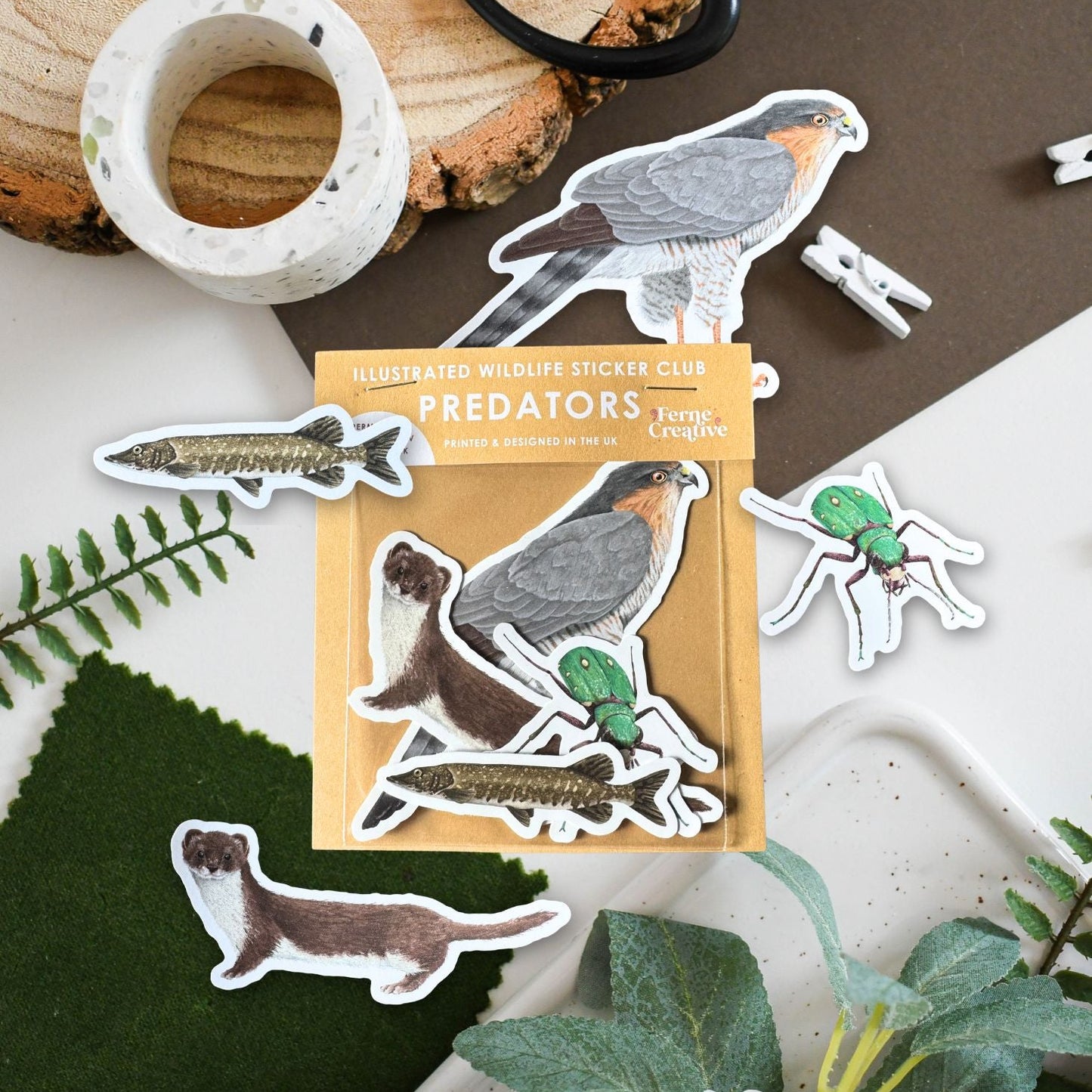 Set of nature-themed stickers on a wooden surface with plants.