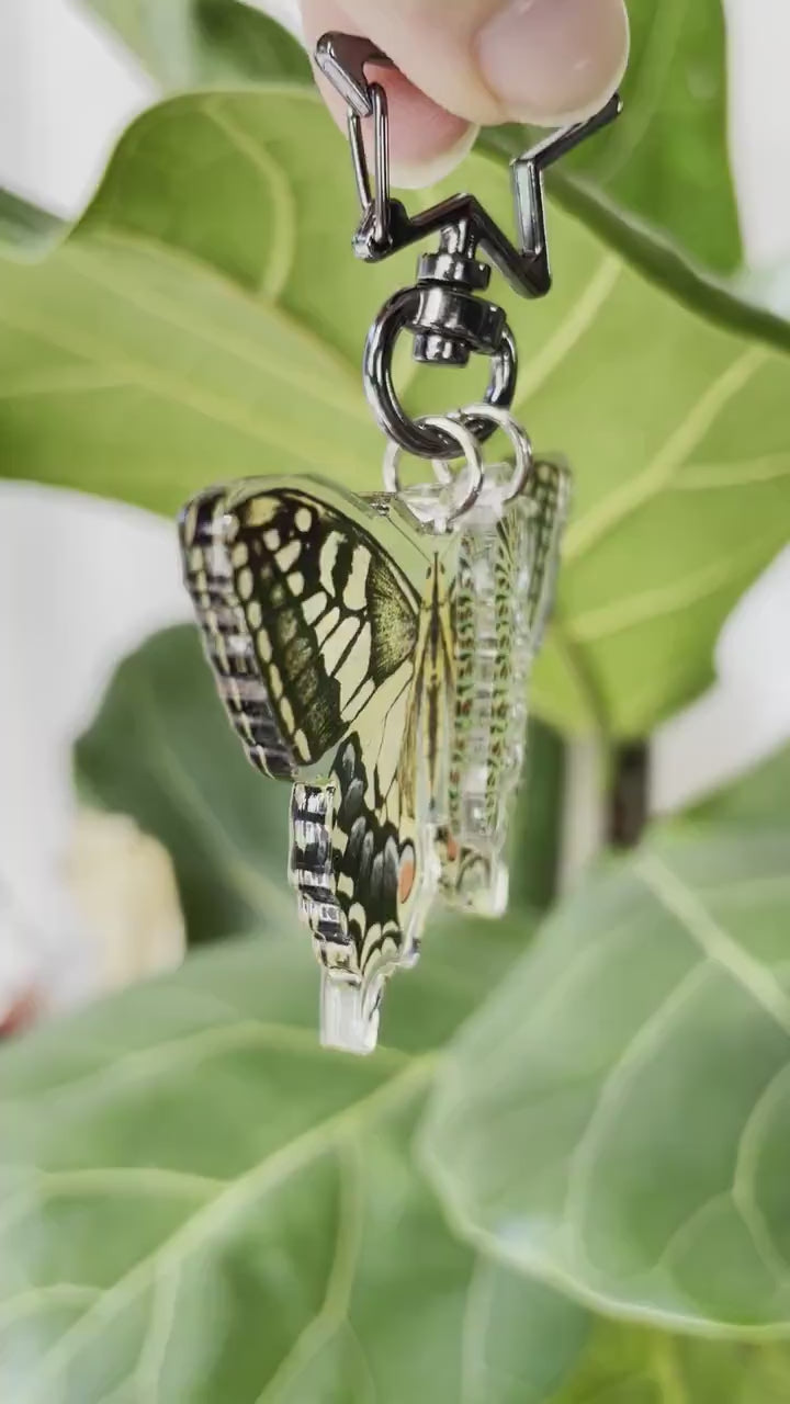 Swallowtail Butterfly Keychain, Butterfly Lover Gift, Butterfly Charm, Nature Lover Gift, Entomology keyring, Insect Keychain, Insect Lovers