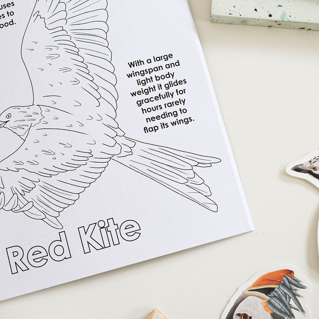 Coloring book page with a red kite illustration and text on a white surface.