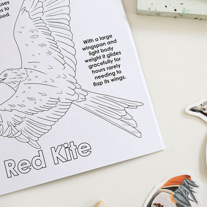 Coloring book page with a red kite illustration and text on a white surface.