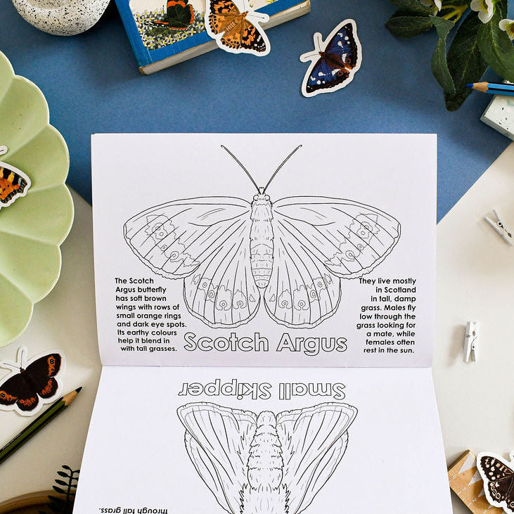 Butterfly coloring book pages with illustrations and text on a table with stationery items.
