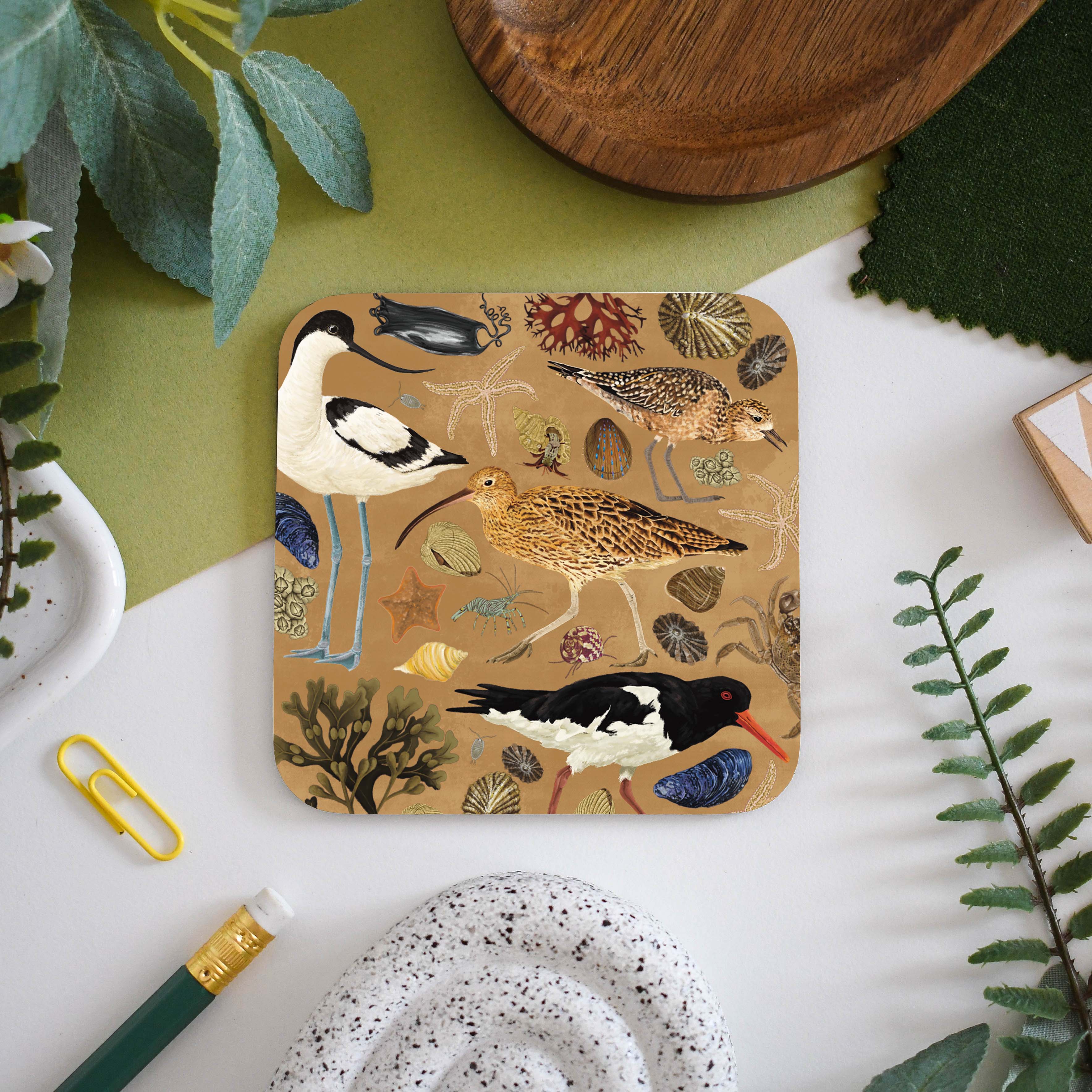 Illustrated Wading Birds Coaster | Ferne Creative