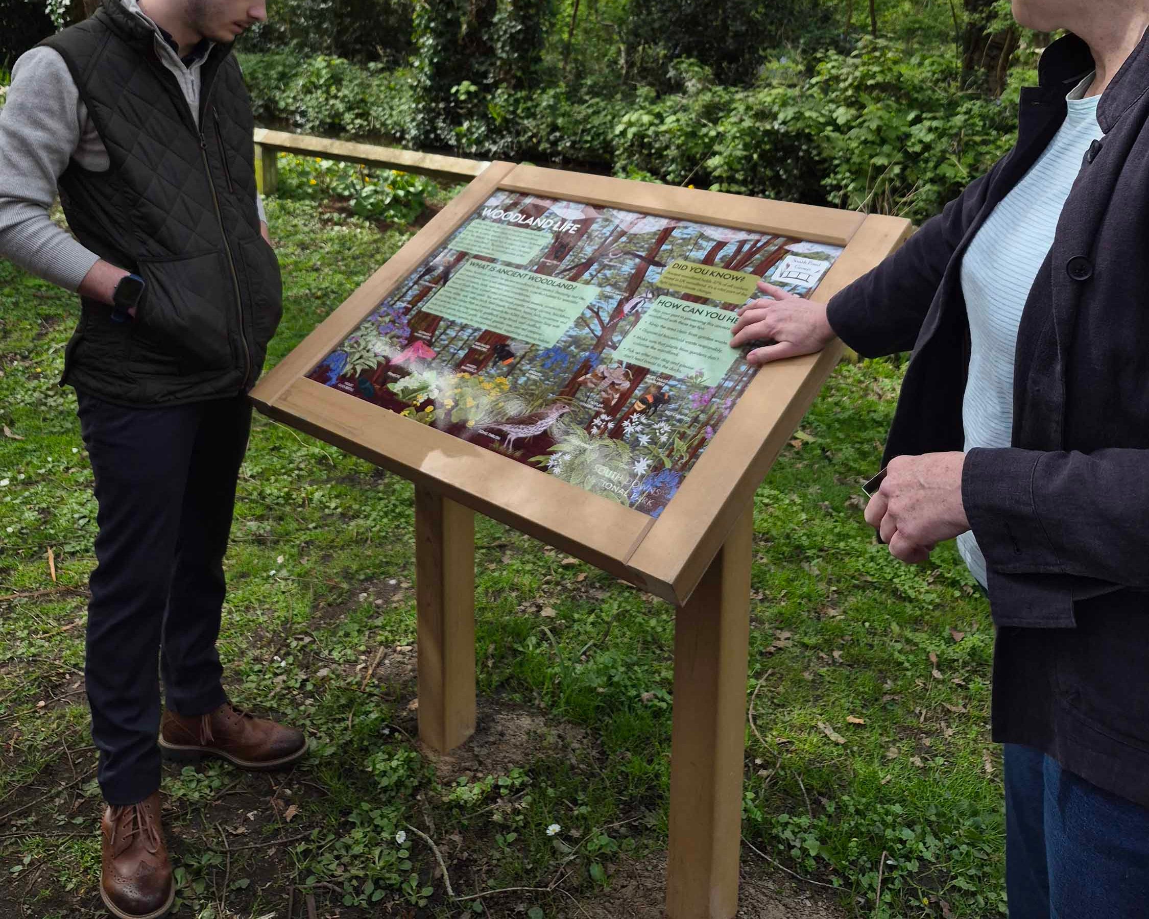 Two people interacting with an illustrated outdoor information panel in a forest setting in South Downs National Park
