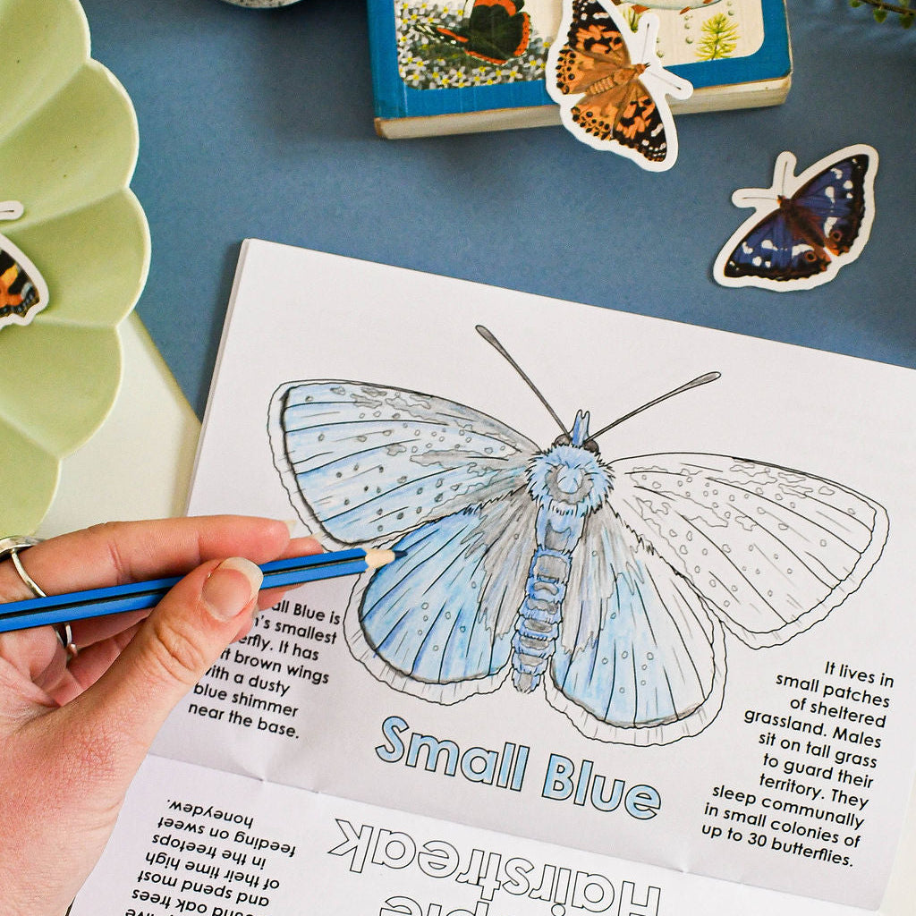 Coloring book with butterfly illustration and hand holding a pen on a blue surface.