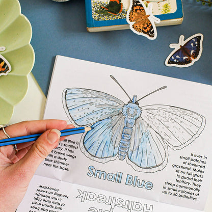 Coloring book with butterfly illustration and hand holding a pen on a blue surface.