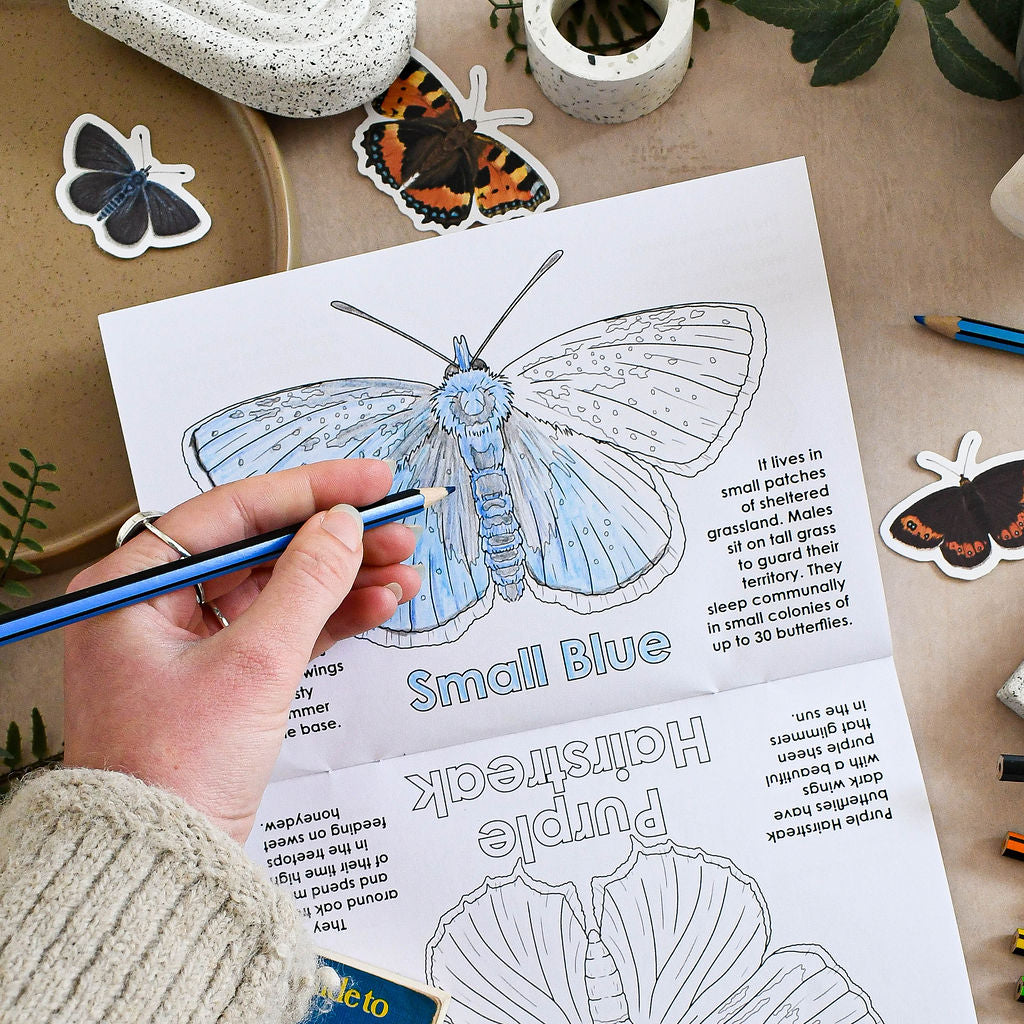 Person coloring a butterfly illustration on a coloring book with butterflies around