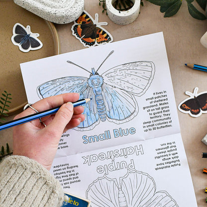 Person coloring a butterfly illustration on a coloring book with butterflies around