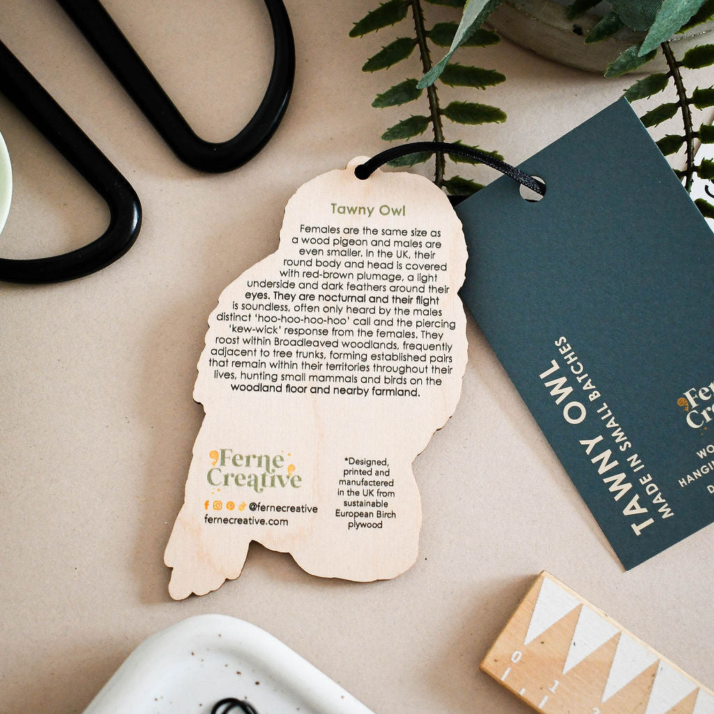 Tawny owl wooden hanging decoration with printed facts about the owl on the back.  