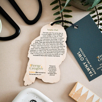Tawny owl wooden hanging decoration with printed facts about the owl on the back.  