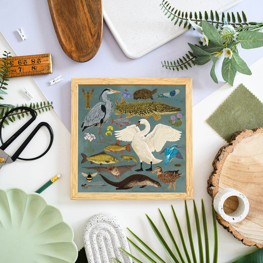 British Waterway Wildlife Print