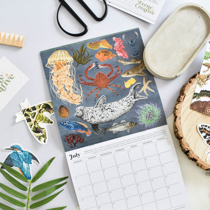 Square wall calendar spread with illustrations of British marine life found in kelp forests,, including spider crabs, jellyfish and grey seals. surrounded by wildlife stickers. 