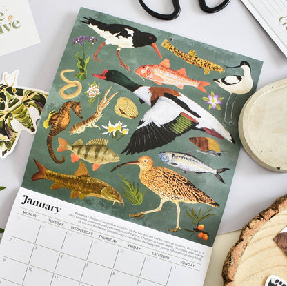 A spread of a calendar showcasing various illustrated animals and plants found in British estuaries, indicating monthly themes, placed on a table with stationery items.
