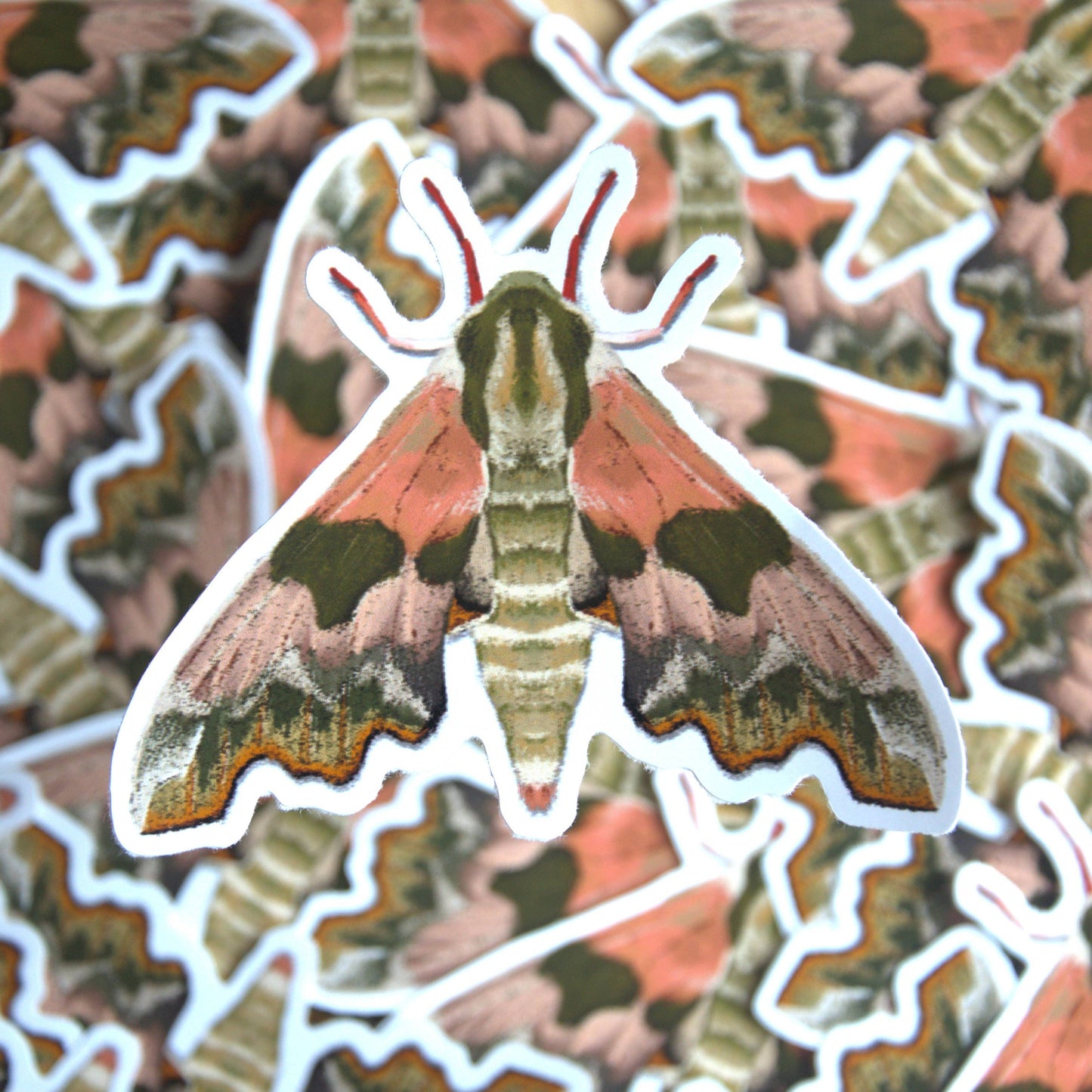 Lime Hawk-Moth Vinyl Sticker