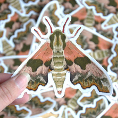 Lime Hawk-Moth Vinyl Sticker