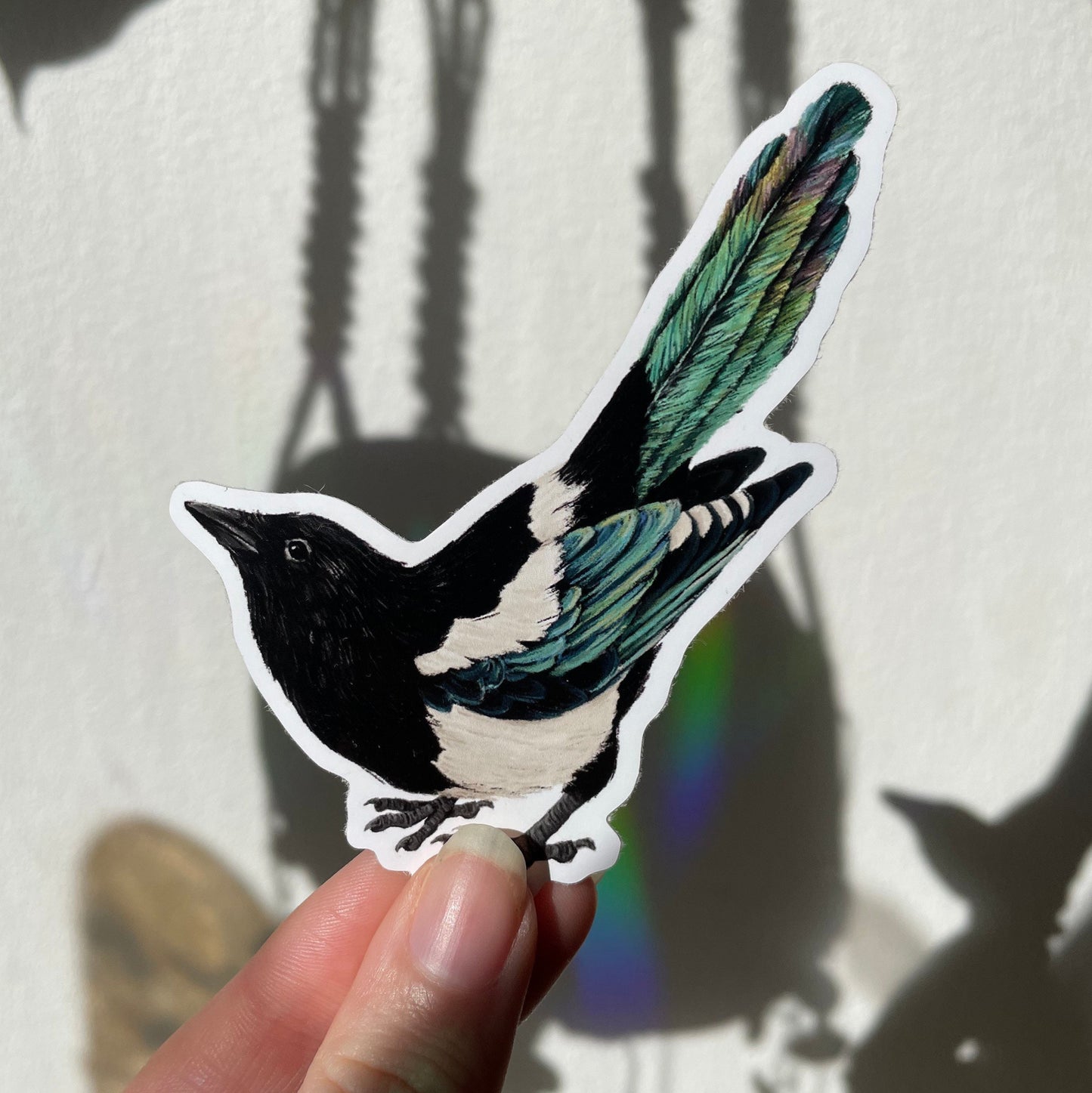 Tail-up Magpie Vinyl Sticker