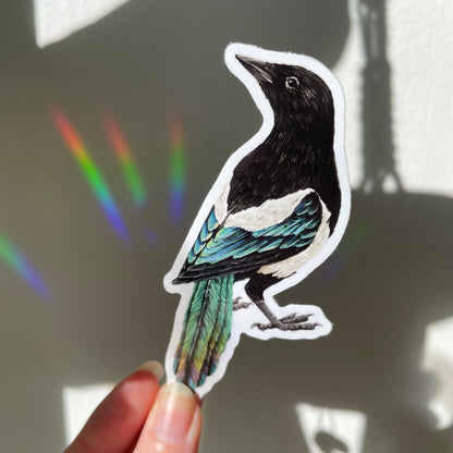 Magpie vinyl sticker bundle, Bird Laptop decal, Magpie illustration, Nature stickers, Bird Stickers, Bird gift set, Raven decal, witch gift