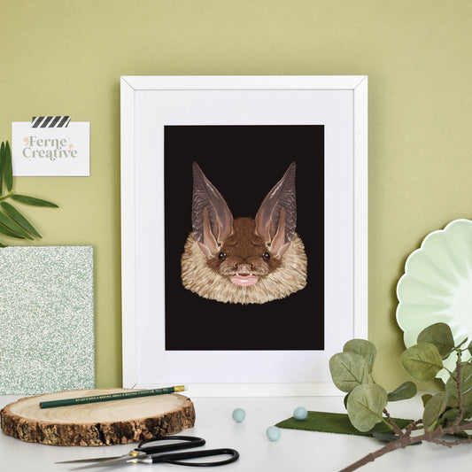 Long-eared Bat illustrated print