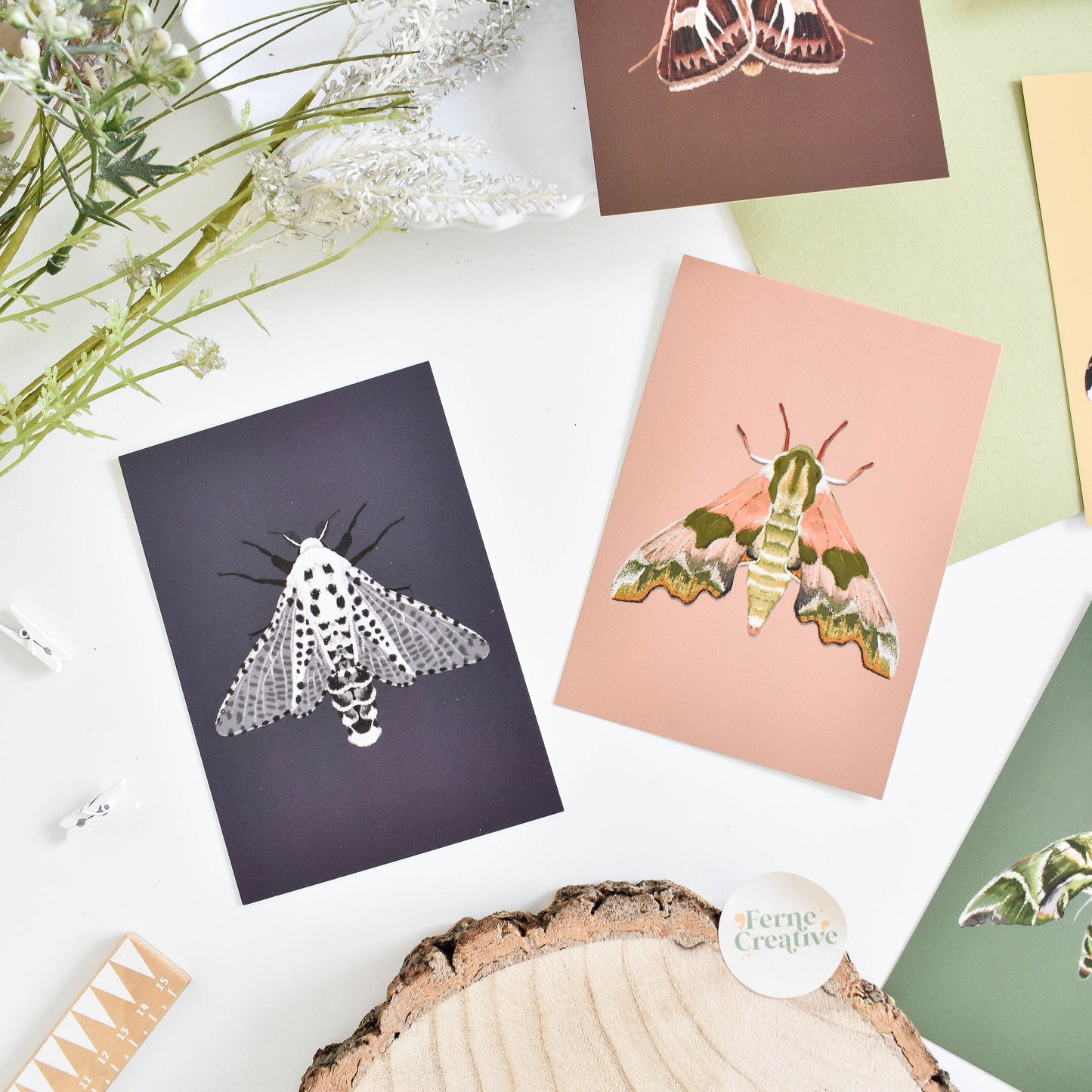 Moth illustration, Natural history illustration, Illustrated postcard set, British nature card, A6 moth wall art, Entomology gifts