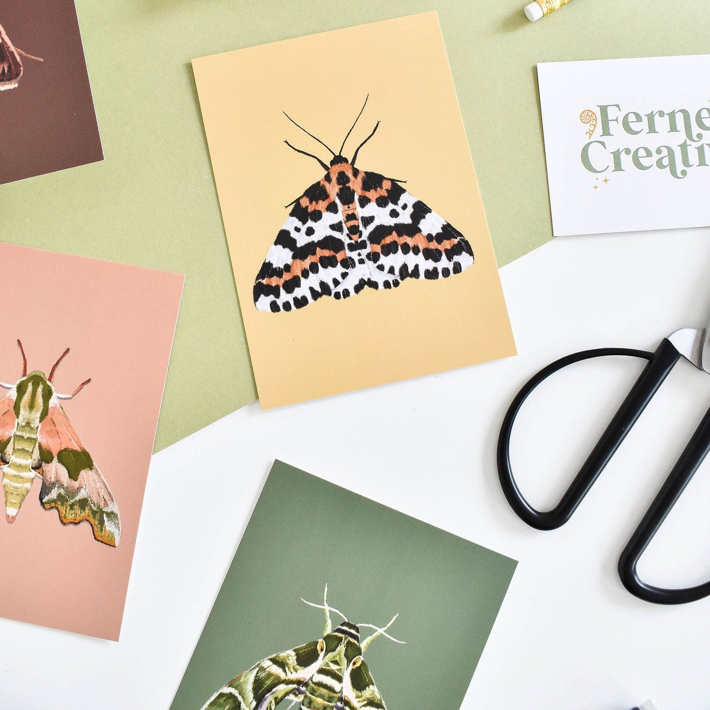 Moth illustration, Natural history illustration, Illustrated postcard set, British nature card, A6 moth wall art, Entomology gifts