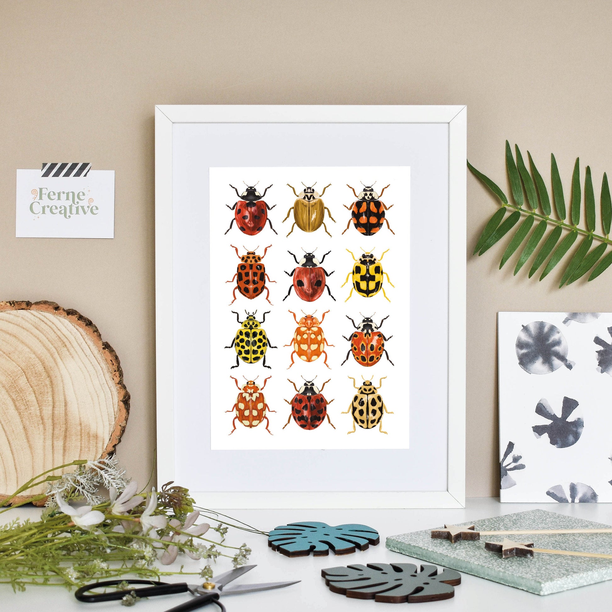 Ladybird Print, Ladybug Print, British Ladybirds, Insect Print, Garden Insects, Beetle Print, Entomology prints, natural history wall art