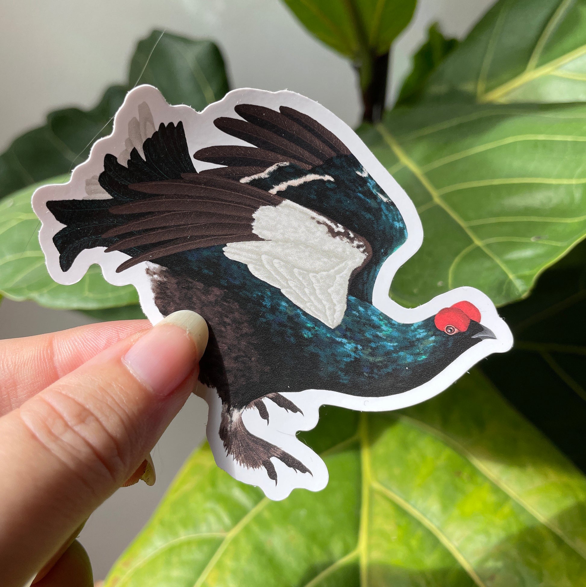 Black Grouse vinyl sticker, Birding Gift, Bird Watcher Gift, game bird, Laptop Stickers, Nature Sticker, Diary crafting, Natural History